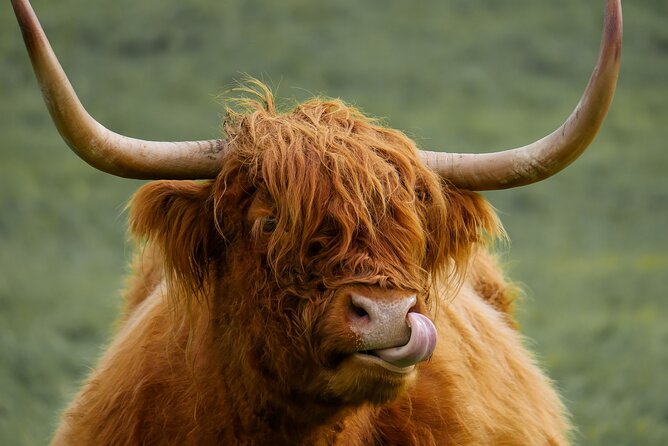Private Luxury Tour of Loch Lomond, Glencoe & The Highlands - Stirling, Wallace and Scotland’s royal past