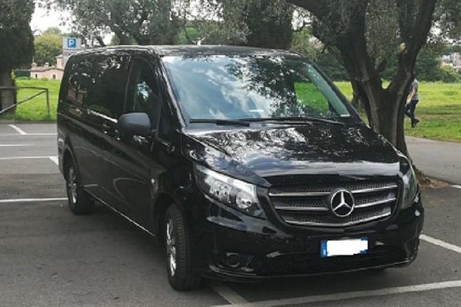 Private Luxury Transfer from Fiumicino Airport to Rome - The promised 1.5-hour delay window