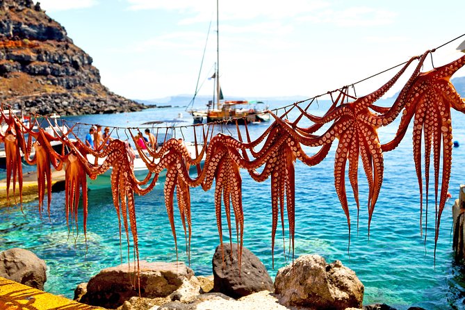 Private Luxury wine tour in Ancient Nemea and vineyards. - Ancient Nemea or Nafplio as a Cultural Add-On