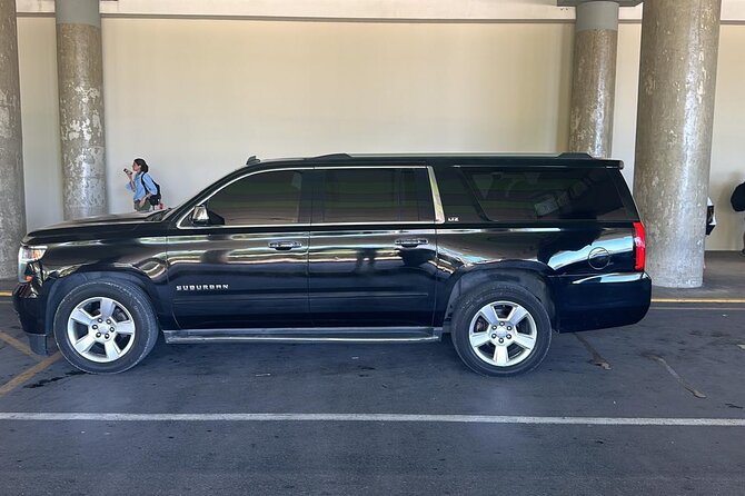 Private Punta Cana Luxury Car Transportation - Who should book this transfer?