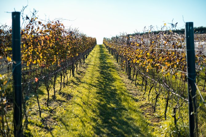 Private Tour - Waiheke Island Luxury Experience - Why Waiheke works so well as a day trip