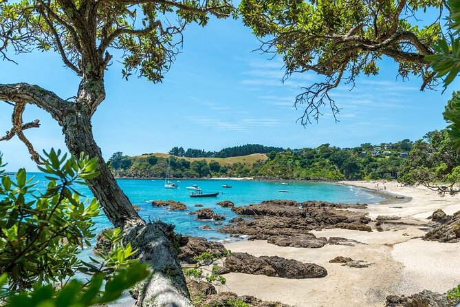 Private Tour - Waiheke Island Luxury Experience - Lunch by the beach, with room for a restaurant stop