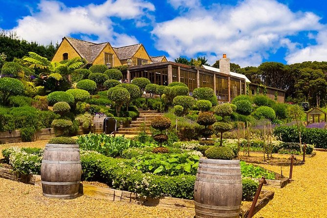 Private Tour - Waiheke Island Luxury Experience - The morning ferry from Auckland