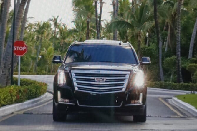 Private transfer from Puntacana airport to hotels-luxury services - Accessibility, animals, and participation