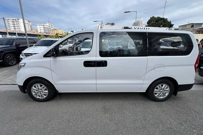 Private transfer from Puntacana airport to hotels-luxury services - Finding your driver after landing