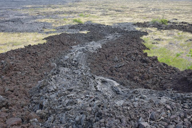 Private VIP Adventure from Kona or Waikoloa - Hilo, Rainbow Falls, and a quick look at the wetter side