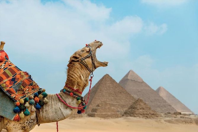 Private ViP all-inclusive Giza Pyramids,Sphinx,Inside Pyramid - Lunch at a restaurant after the monuments