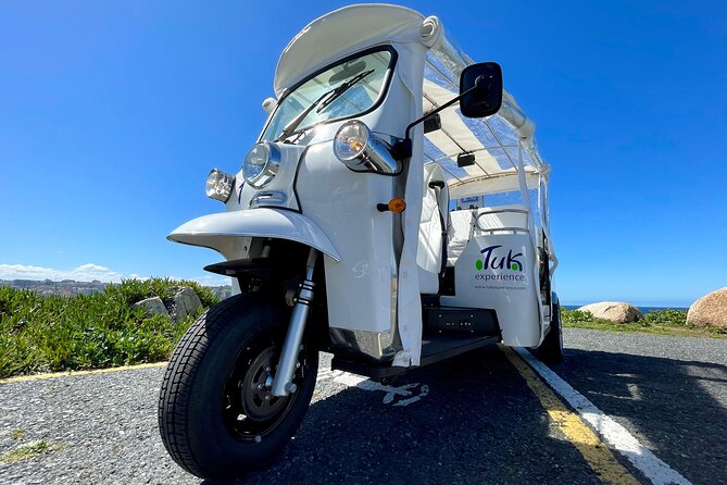 Private VIP Tour in Tuk Tuk Cadiz - Torre Tavira, the cathedral, and the Roman theatre
