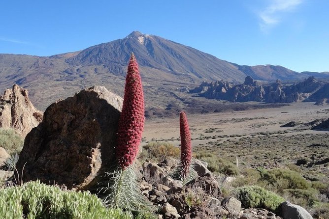 Private VIP Tour Tenerife Magic Circle - Why this private Tenerife day makes sense