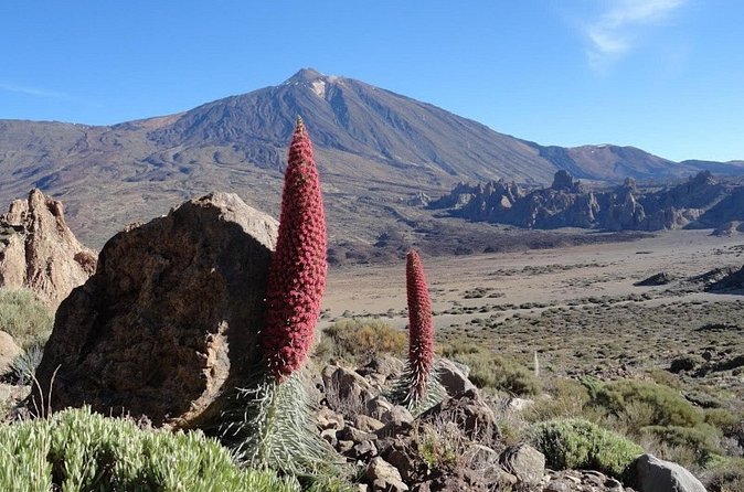 Private VIP Tour Tenerife Magic Circle - Masca, a mountain village with a pirate past