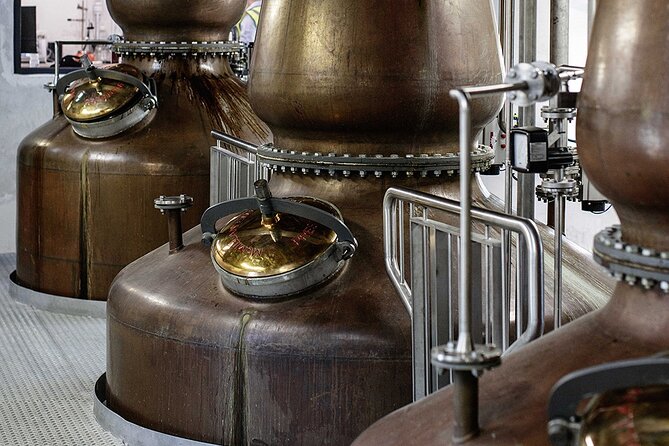 Private VIP Whiskey Tour from Dublin with Slane Castle Distillery - A possible extra stop if time allows