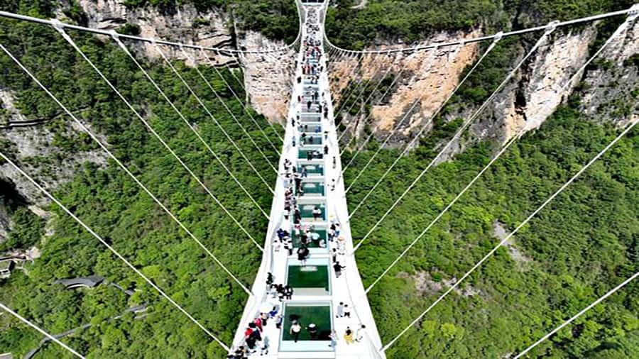 Private VIP Zhangjiajie Tianmen Mountain Day Tour - Who should book this private tour?