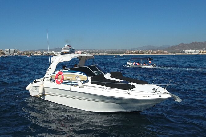 Private Whale Watching on Luxury Yacht in Cabo San Lucas - What is included, and what may need checking
