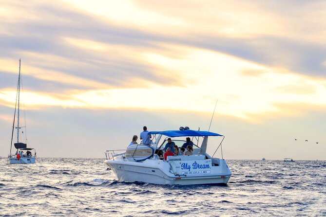 Private Whale Watching on Luxury Yacht in Cabo San Lucas - Practical details for a smoother outing