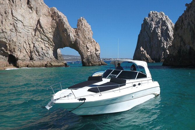 Private Whale Watching on Luxury Yacht in Cabo San Lucas - Why the 8:00 am departure works