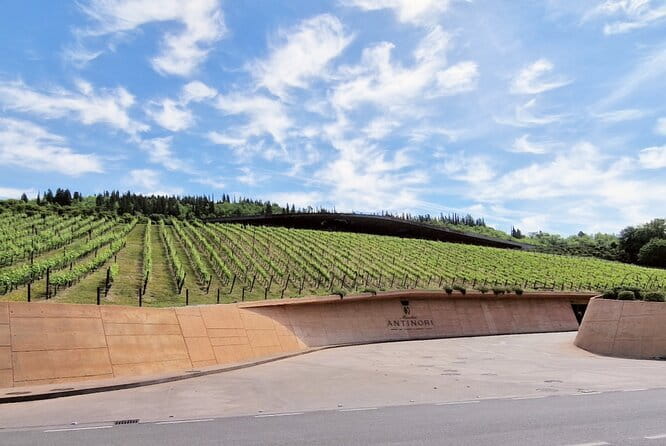PRIVATE WINE TOUR TUSCANY Chianti Wineries, Expert English driver - Starting From Florence in a Mercedes