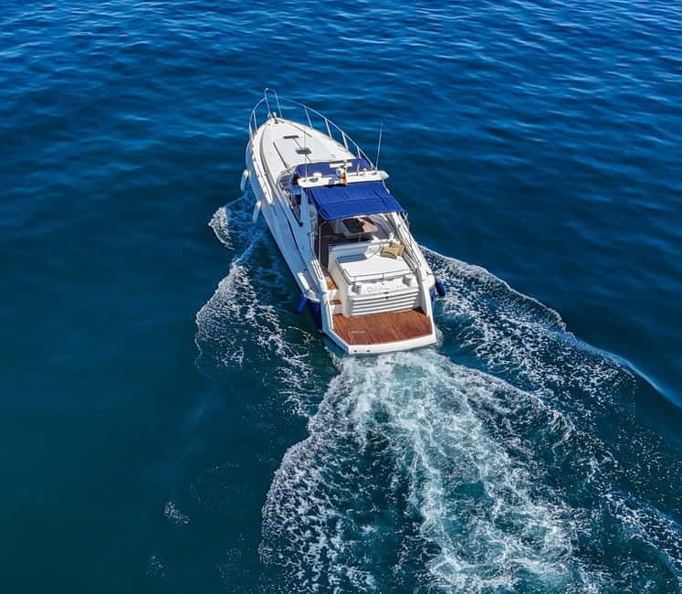 Puerto Banus: Private Luxury Yacht Charter - The 30-minute dolphin search off the Costa del Sol