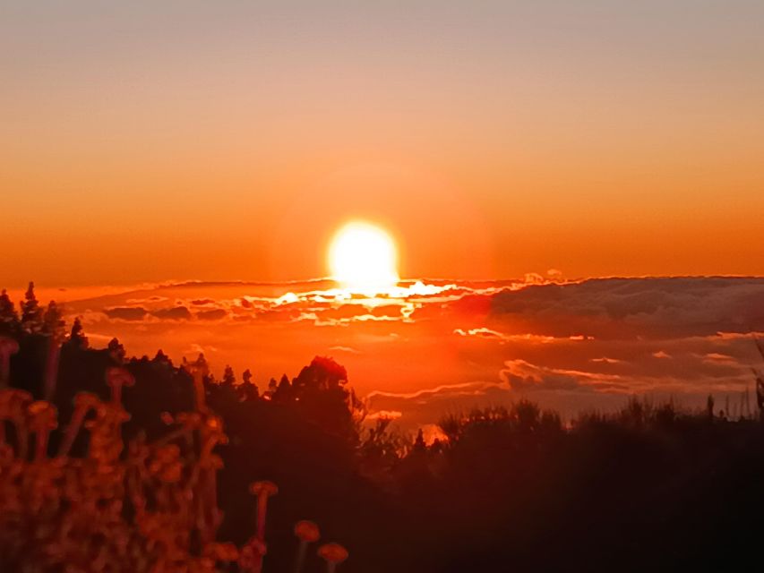 Puerto Cruz: VIP Teide Sunset & Stars, Guachiche Lunch+Cava - Is $112 a fair price?
