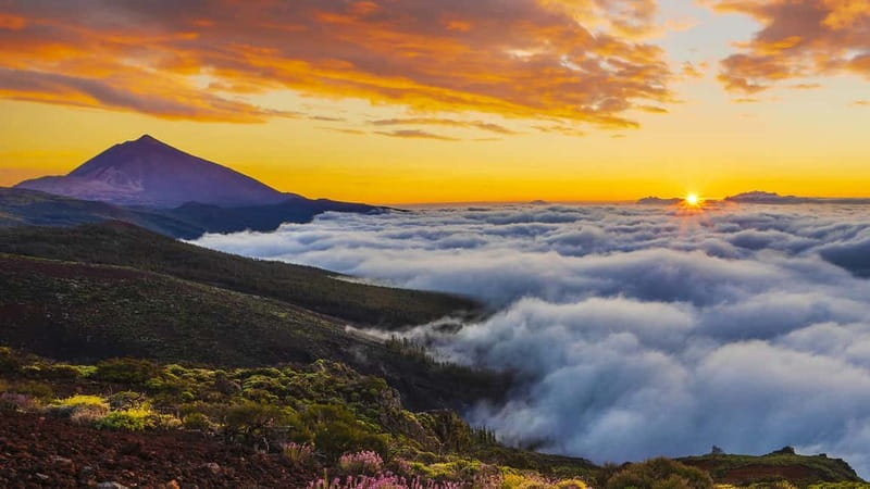 Puerto Cruz: VIP Teide Sunset & Stars, Guachiche Lunch+Cava - Sunset at 2,100 meters