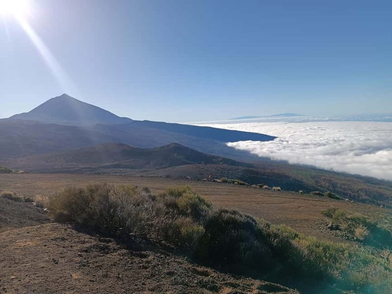 Puerto Cruz: VIP Teide Sunset & Stars, Guachiche Lunch+Cava - Coffee and Canarian specialties at El Portillo