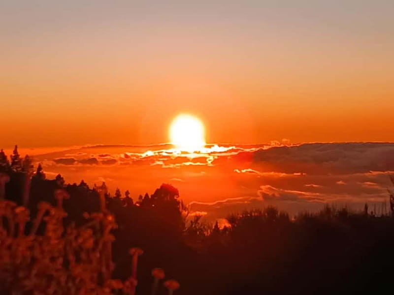 Puerto Cruz: VIP Teide Sunset & Stars, Guachiche Lunch+Cava - Stargazing in Teide National Park
