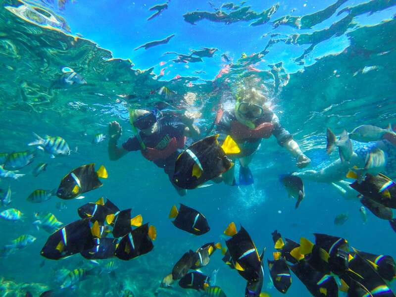 Puerto Vallarta: Luxury Day Sailing Tour of Bay of Banderas - What the six-hour sailing day feels like