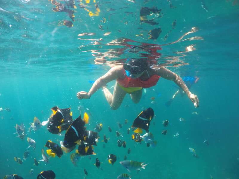 Puerto Vallarta: Luxury Yacht Tour with Lunch and Open Bar - Lunch, open-bar service, and the boat itself