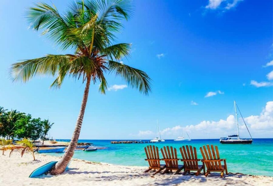 Punta Cana - Santo Domingo: Saona Island VIP Catamaran Tour - Why Saona Island is the star of the day
