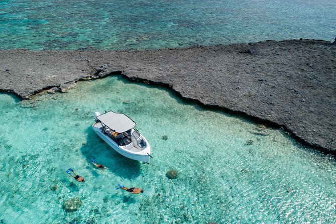 Reef Discovery Luxury Private Snorkeling Lagoon Tour - The right match for couples and families