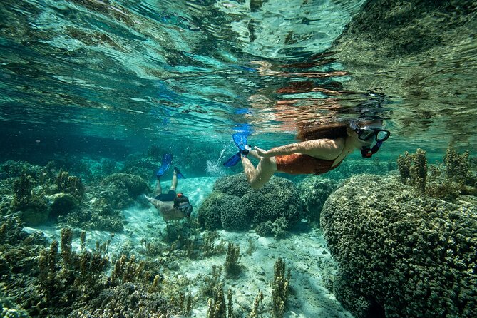 Reef Discovery Luxury Private Snorkeling Lagoon Tour - Weather, timing, and cancellation rules