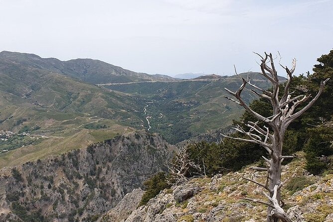 Rethymno Tour - VIP Private Tour - Preveli Beach and the palm-lined coast