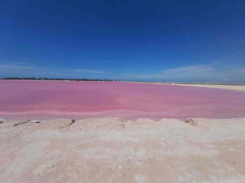Rio Lagartos and Las Coloradas: Safari Flamingo Luxury - Why the private boat matters in Río Lagartos
