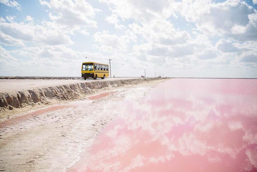Rio Lagartos and Las Coloradas: Safari Flamingo Luxury - Flamingos across the Río Lagartos wetlands