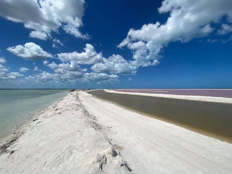 Rio Lagartos and Las Coloradas: Safari Flamingo Luxury - What the 2,300 MXN group price really means