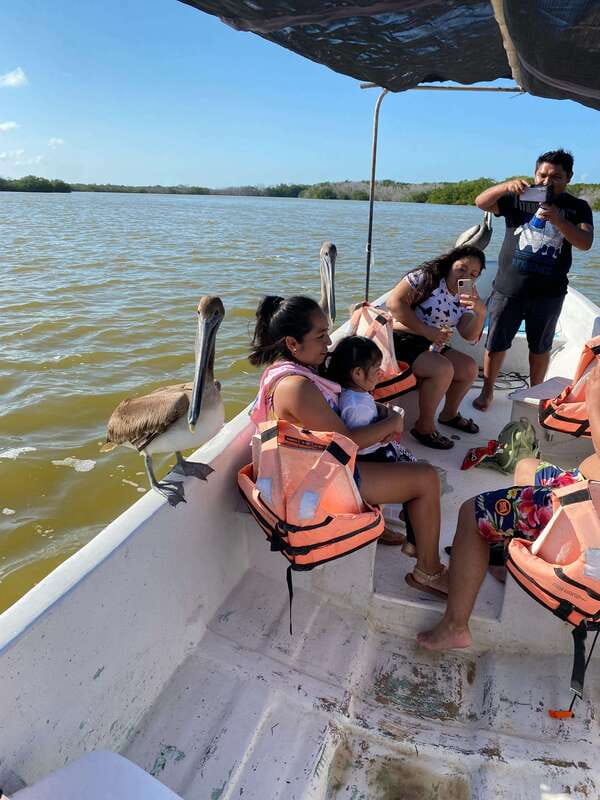 Rio Lagartos and Las Coloradas: Safari Flamingo Luxury - Timing, comfort, and who will enjoy it most