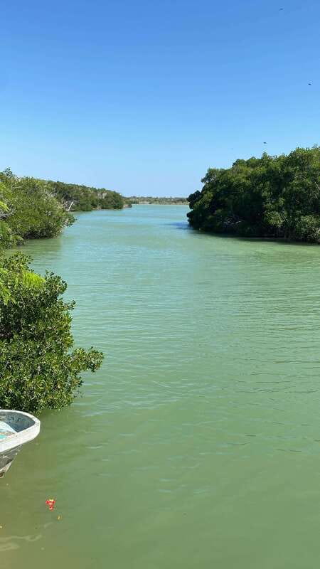 Rio Lagartos and Las Coloradas: Safari Flamingo Luxury - Mangrove channels and the first wildlife stops