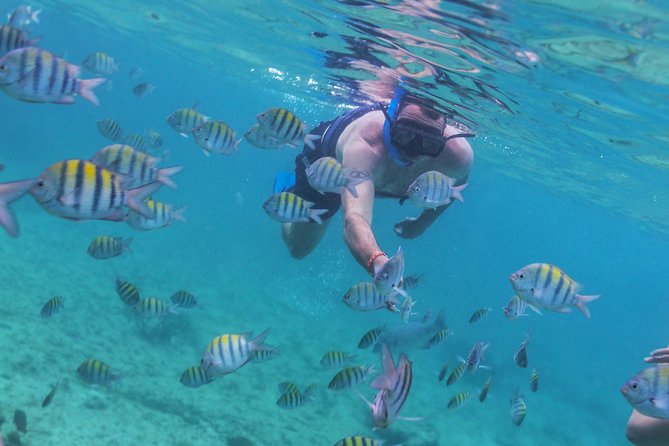 Riviera Maya Luxury Snorkeling Cruise with Lunch and Drinks - Inah Reef: good coral, limited time in the water