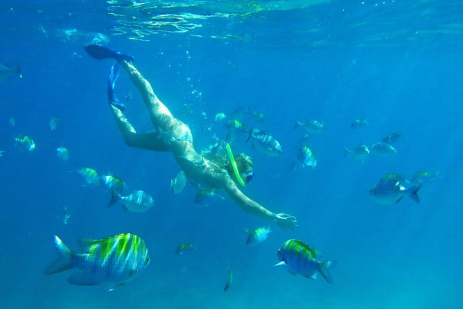Riviera Maya Luxury Snorkeling Cruise with Lunch and Drinks - Is $139 a good value?