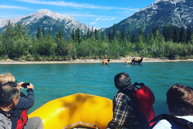 Rocky mountain - VIP Experience - Private Boat - What the Rocky Mountain VIP experience is really like