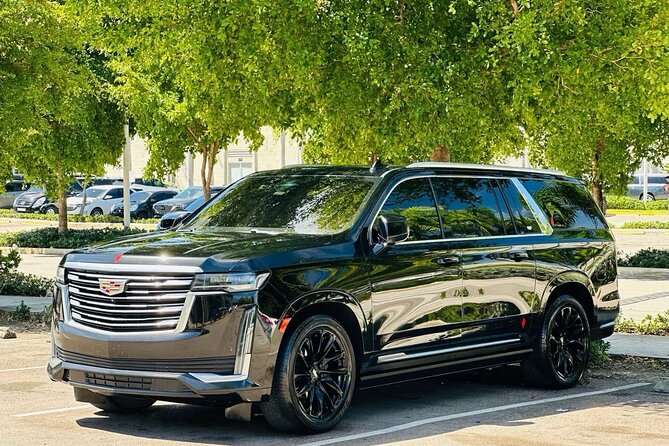 ROUNDTRIP Bavaro/Punta Cana AREA - PUJ Airport - LUXURY SERVICE - A practical ride between Punta Cana and PUJ Airport