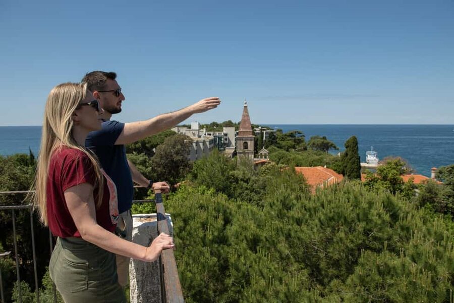 Rovinj: Luxury Island Hopping with Swimming & Snorkeling - Sveti Andrija and the Red Island route