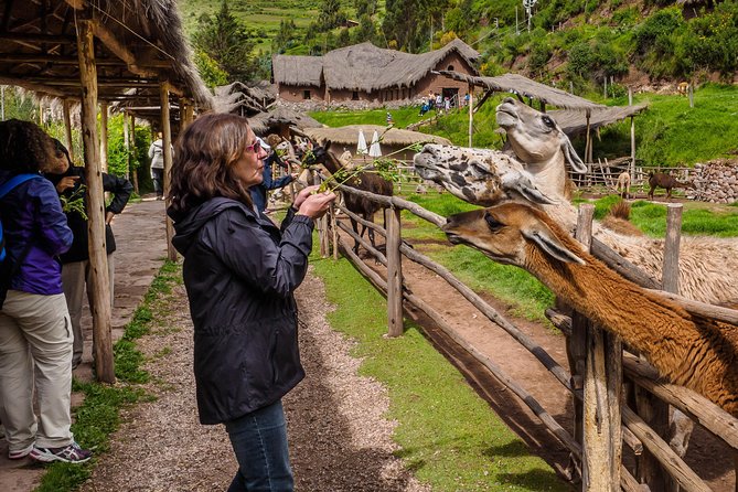 Sacred Valley and Machu Picchu Tour in 2 days with Peru Vip - Buffet lunch in Urubamba