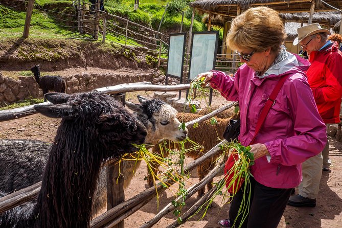 Sacred Valley and Machu Picchu Tour in 2 days with Peru Vip - The early start at Machu Picchu