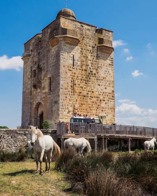 Safari 4x4 in Camargue / VIP Tour 3h30 / Grau du Roi - Key points to know before booking