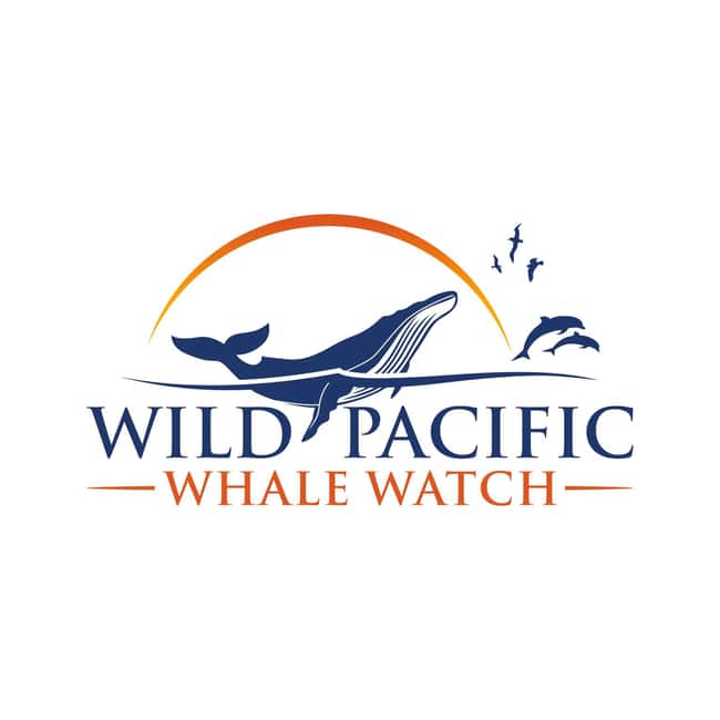 San Diego: Luxury Year-round Whale Watching & Dolphin Tour - Key points to know before booking