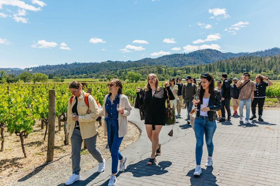 San Francisco: Luxury Small-Group Wine Tour of Napa Valley - Calistoga lunch: time to choose your own pace