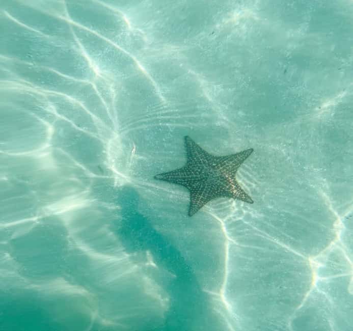 Saona Island VIP: 4 Beaches , Mano Juan & Canto de la Playa - Four things to know before booking