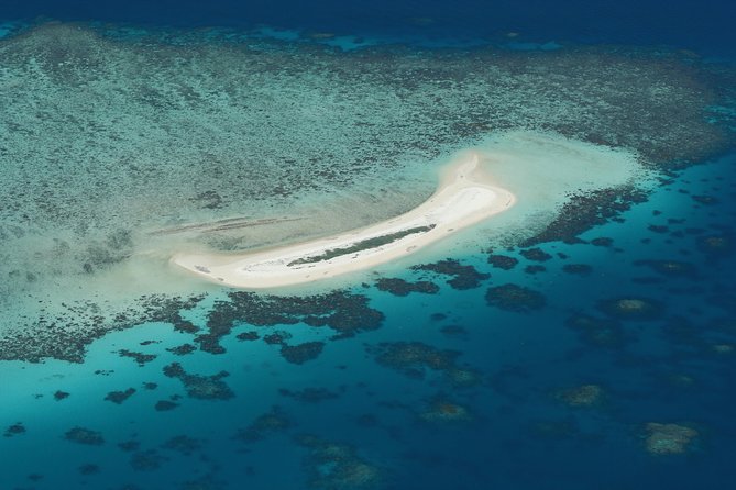 Seastar Luxury Outer Great Barrier Reef Island and Reef Tour - Seastar Reef Tour: Key Points at a Glance
