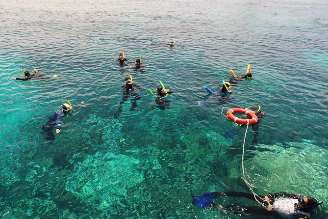 Seastar Luxury Outer Great Barrier Reef Island and Reef Tour - Why Two Reef Sites Matter in One Day
