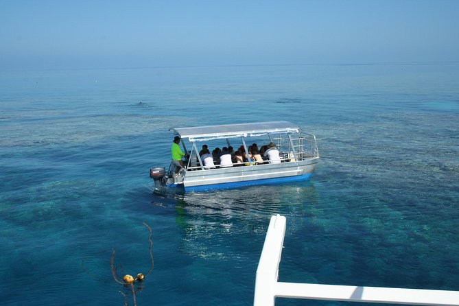 Seastar Luxury Outer Great Barrier Reef Island and Reef Tour - Hastings Reef: The More Open Outer-Reef Stop